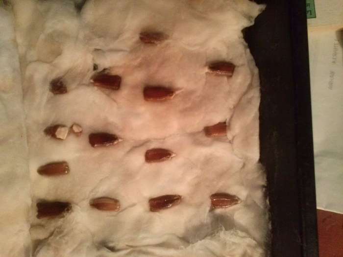 semillas de calabaza en algodon