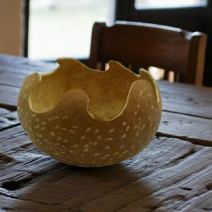 Cuenco elaborado con una calabaza natural